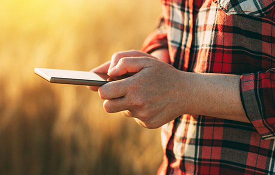 A person holding their cell phone in a field